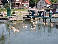 Copie de IMG_0285.jpg